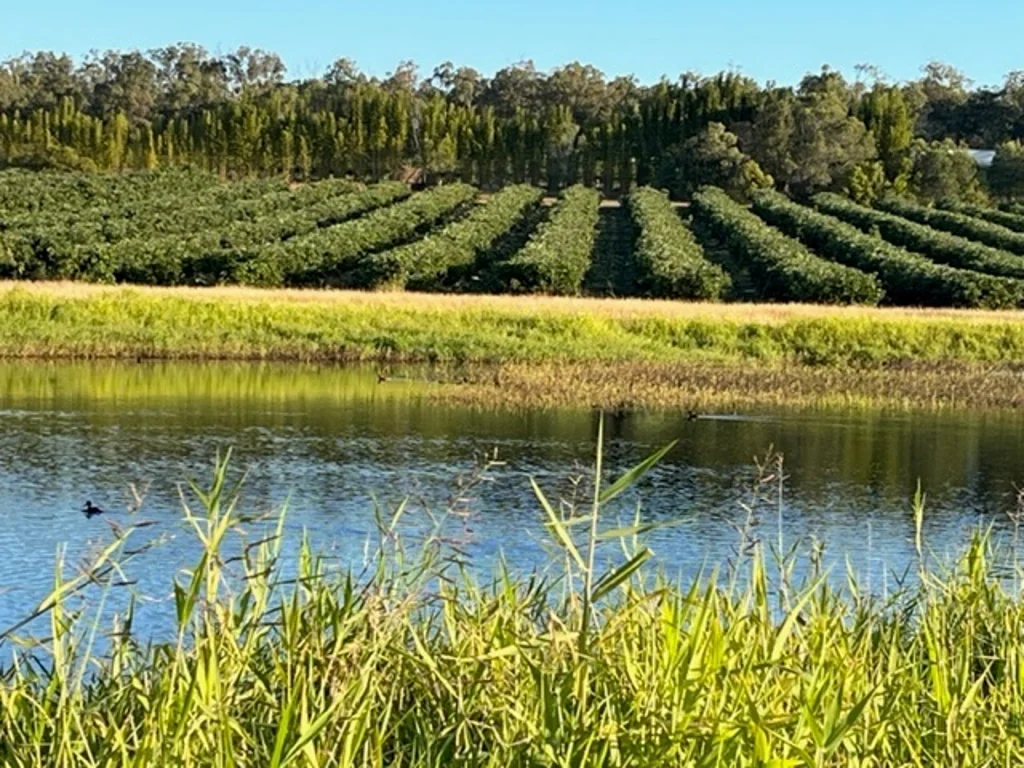 St Kilda Well Managed Farm, High Quality Produce