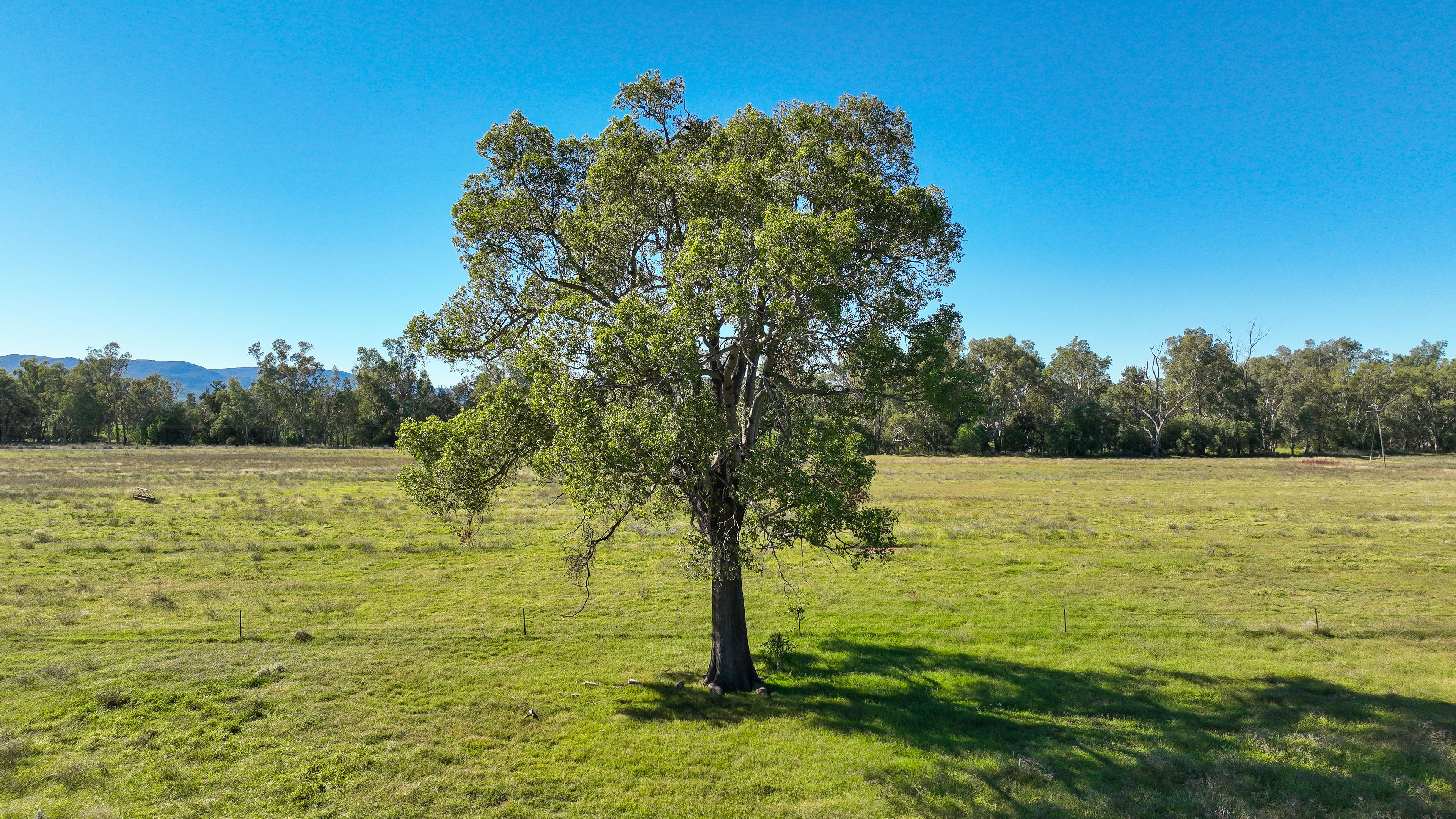 WANDO 340 BLACK MOUNTAIN CREEK RD, MAULES CREEK NSW 2382, 0房, 0浴, Lifestyle Property