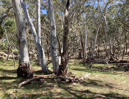 Lot 70C & McMillan Lane, Beaufort, Ballarat, 0 침실, 0 욕실, Lifestyle Property