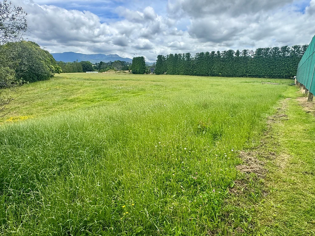 Aongatete High Profile A1 Land