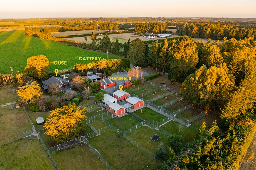 West Eyreton 3chambre Lifestyle Home & Proven Income In One Package