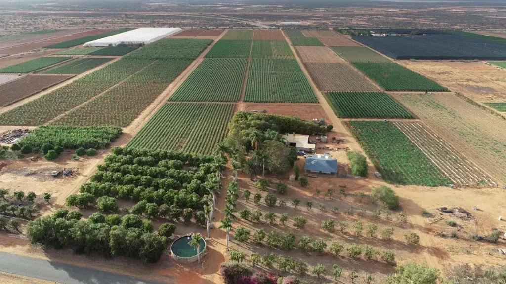 Carnarvon  "Prime Horticultural Land"