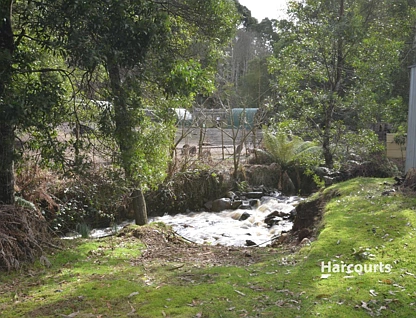 Site 28 Wings Wildlife Park, Winduss Road, Gunns Plains, West and North West, 1 habitaciones, 1 baños, House