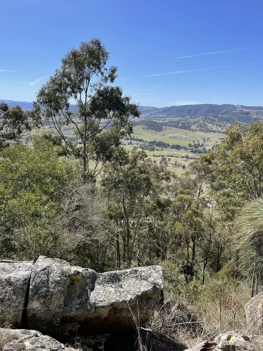 Vacy Mount Breckin – Million Dollar Koala Mountain