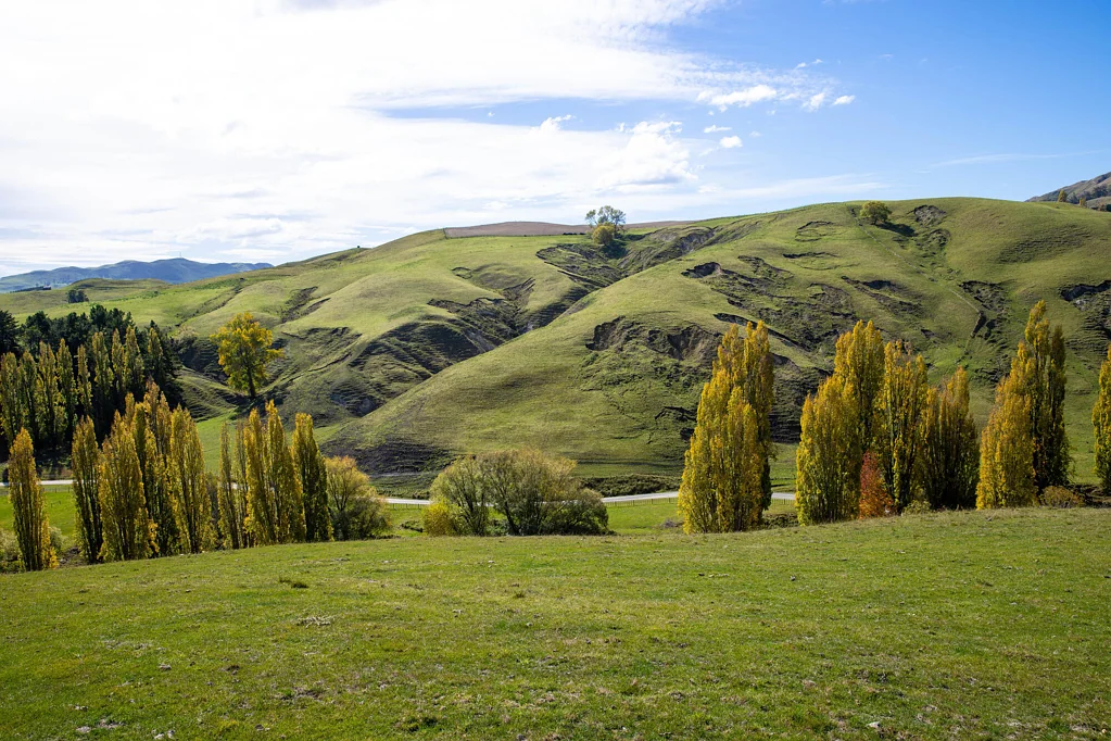 Havelock North Opportunity Presents