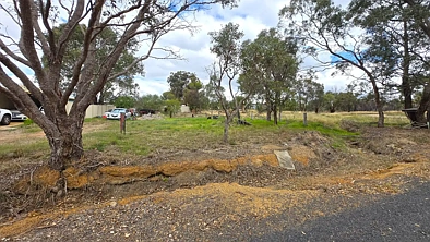7 Dowsett Street, Narrogin, WA 6312, 0房, 0浴, Section