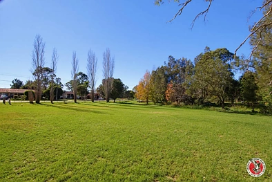 63 Murray Street, Moruya, NSW 2537, 0 slaapkamers, 0 badkamers, Section