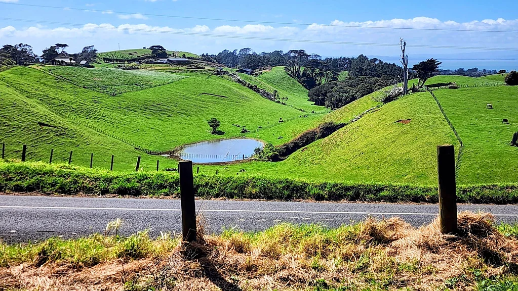 Awhitu Eco Lifestyle Opportunity - Make an Offer!