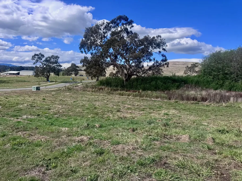 Mansfield Parkside bargain with kangaroos for neighbours!