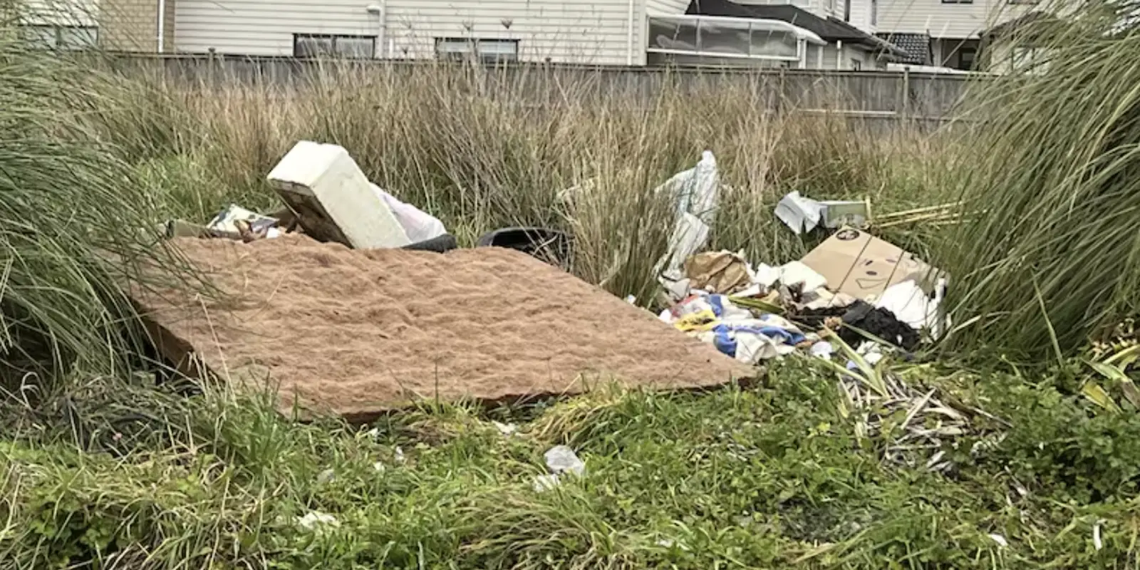 奥克兰东南区建筑空地沦为“三不管”，垃圾非法倾倒猖獗