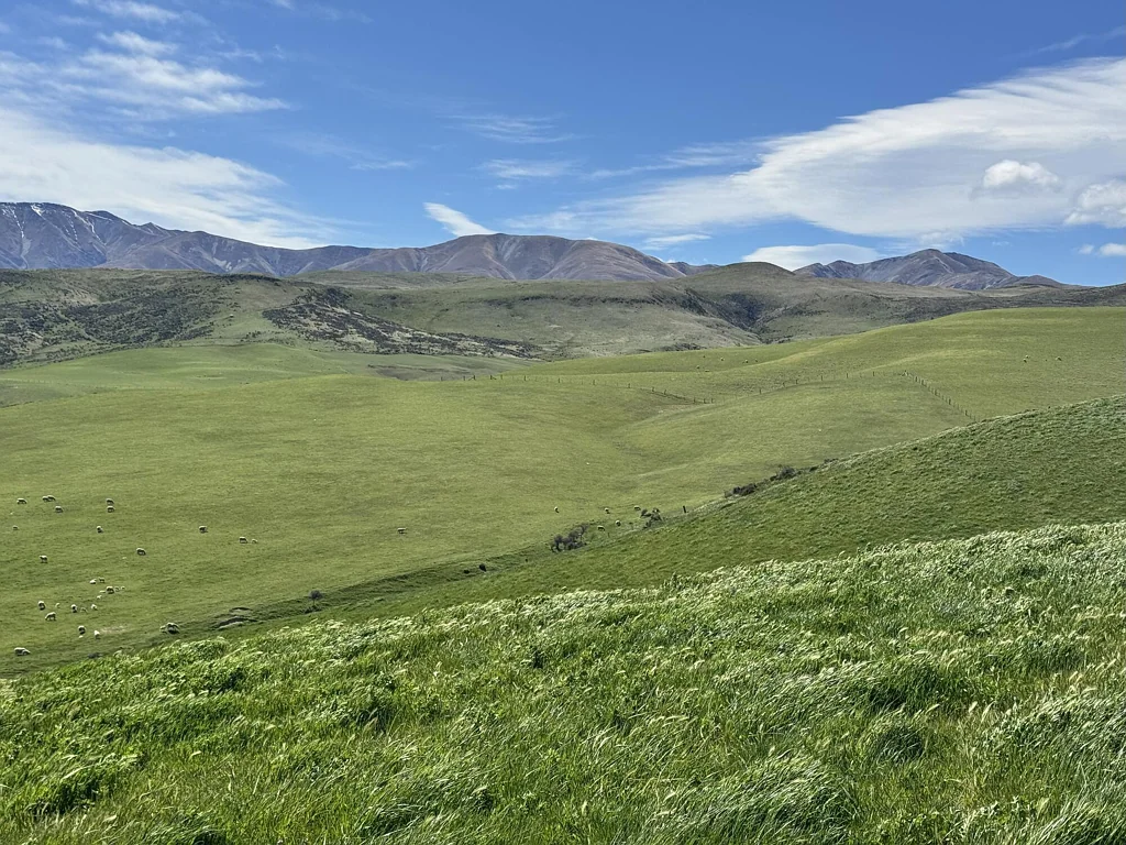 Ranfurly  Productive Bare Land Block