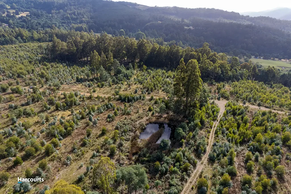 Lot 3 Paddys Lane, Franklin, TAS 7113