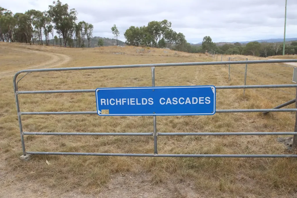 Tenterfield  ‘Richfield Cascades’