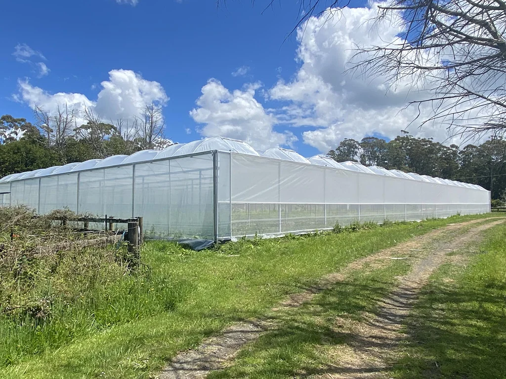 Wainui  Greenhouse Space for Lease