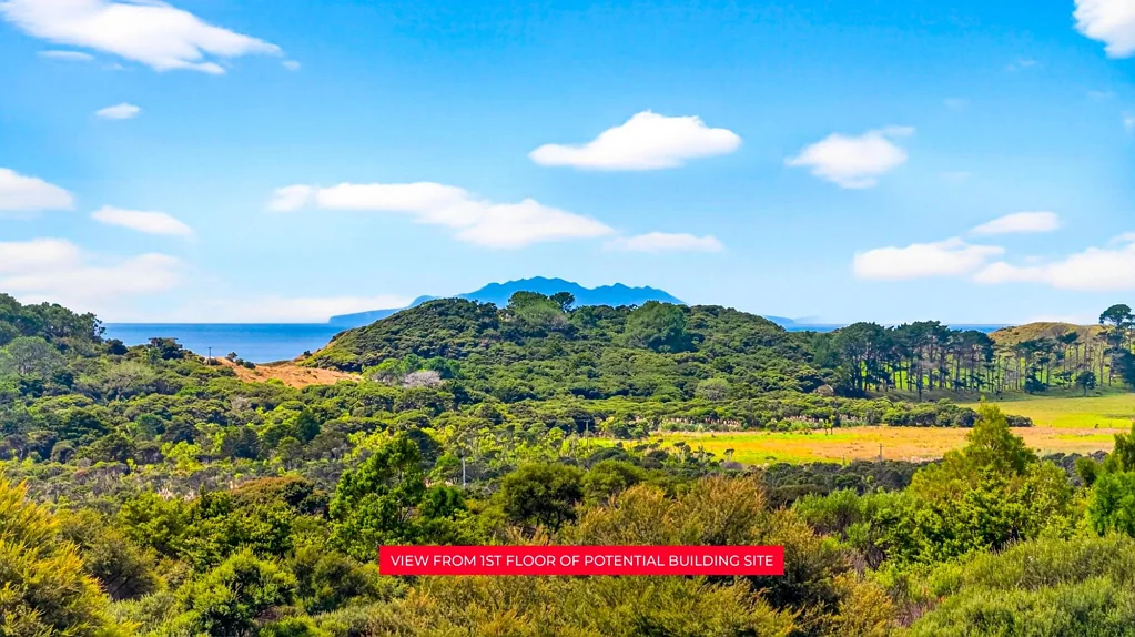 Leigh Pakiri - Wild, Untouched, Sea Views
