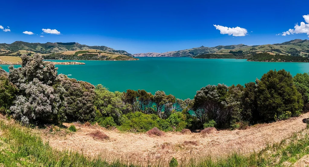 Robinsons Bay  Your dream home in a sublime setting