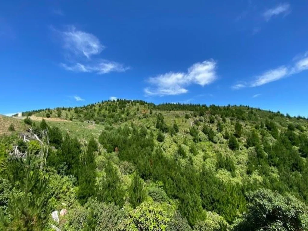Pauatahanui Easterly aspect, elevated, good sun and shelter.