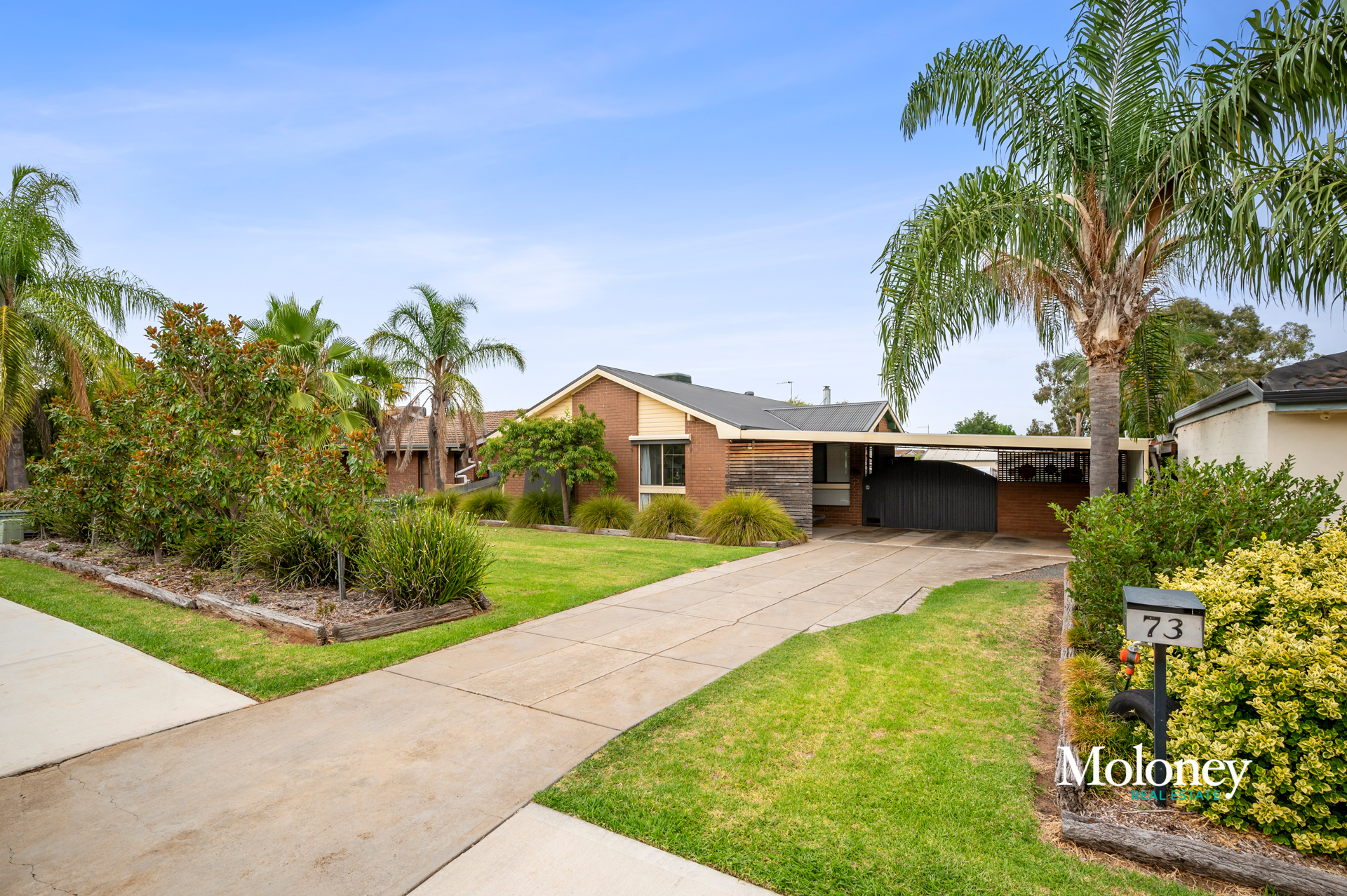 73 WANSTEAD ST, COROWA NSW 2646, 0房, 0浴, House