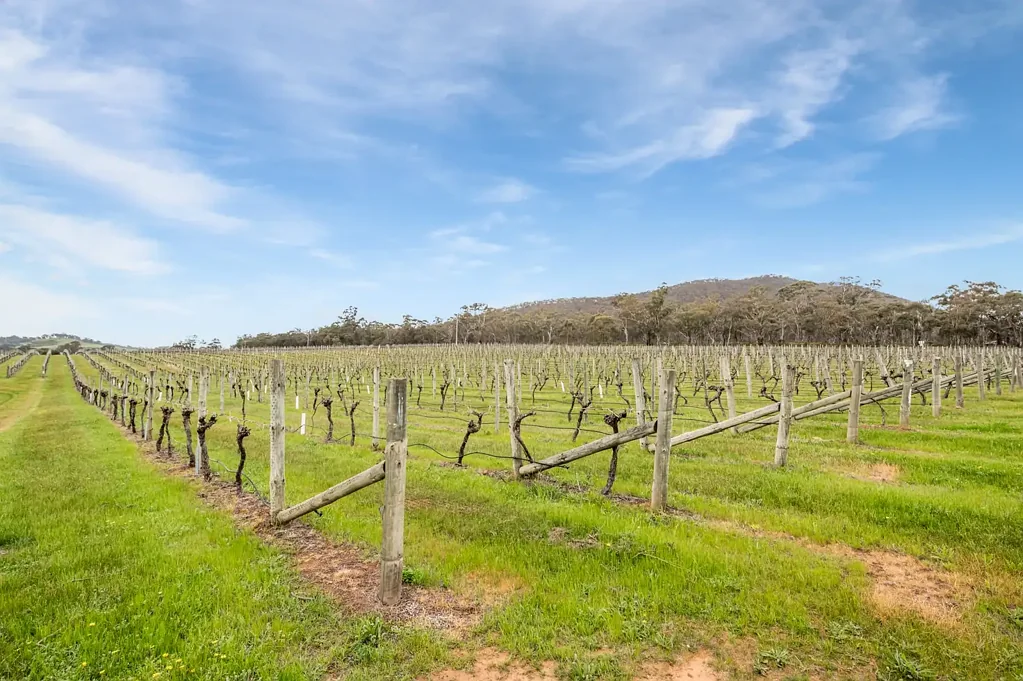 Heathcote BLUE-CHIP COPPERMINE VINEYARD & DEVELOPMENT OPPORTUNITY