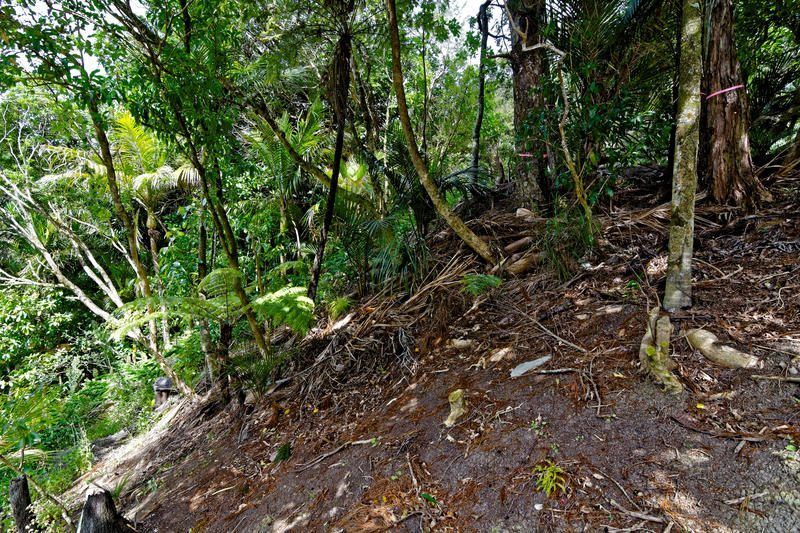 42 Tanekaha Road, Titirangi, Auckland - Waitakere, 0 habitaciones, 0 baños