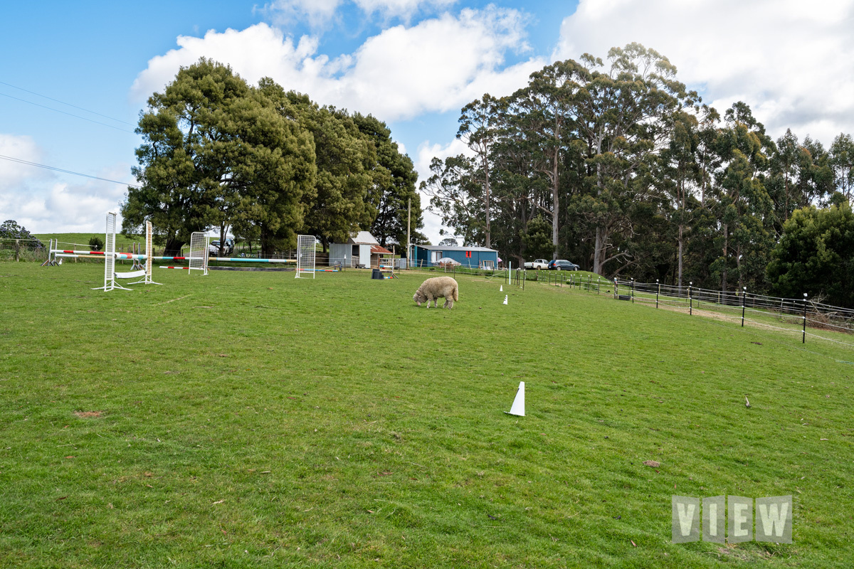 158 AITKENS RD, MOUNT HICKS TAS 7325, 0房, 0浴, Lifestyle Section