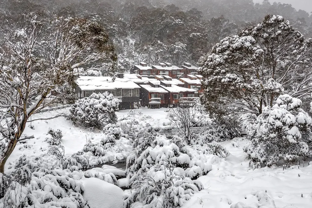 Thredbo 1침실 PRICE REDUCED!!! Find Your Thredbo Escape at Riverside Cabin 55