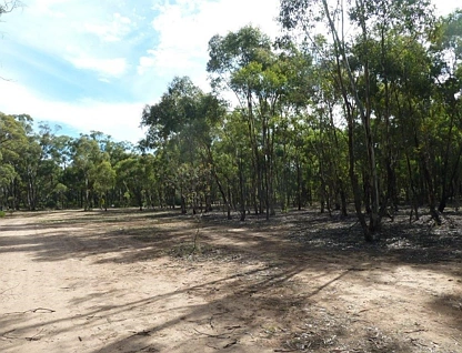 LOT 4/Section 2 Old Boort Road, Wedderburn, Bendigo, 0 phòng ngủ, 0 phòng tắm, Lifestyle Property