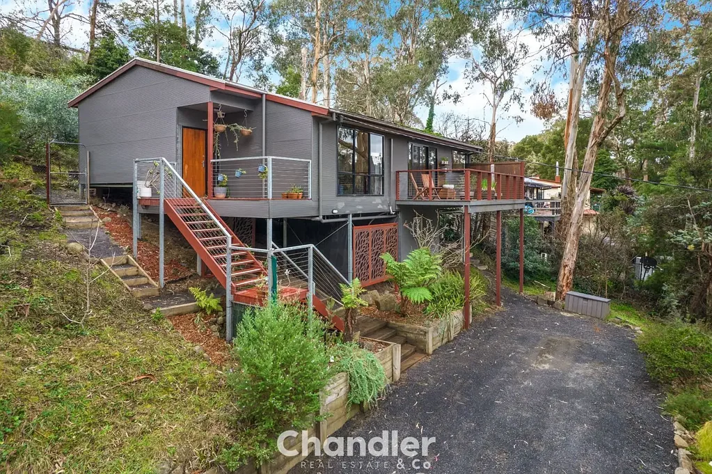 Belgrave 3 Bedroom Elevated Living with Treetop Views