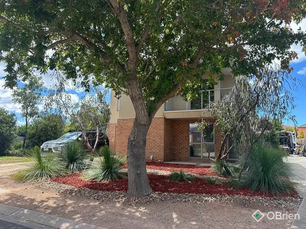 LEAFY, LOW MAINTENANCE LIVING