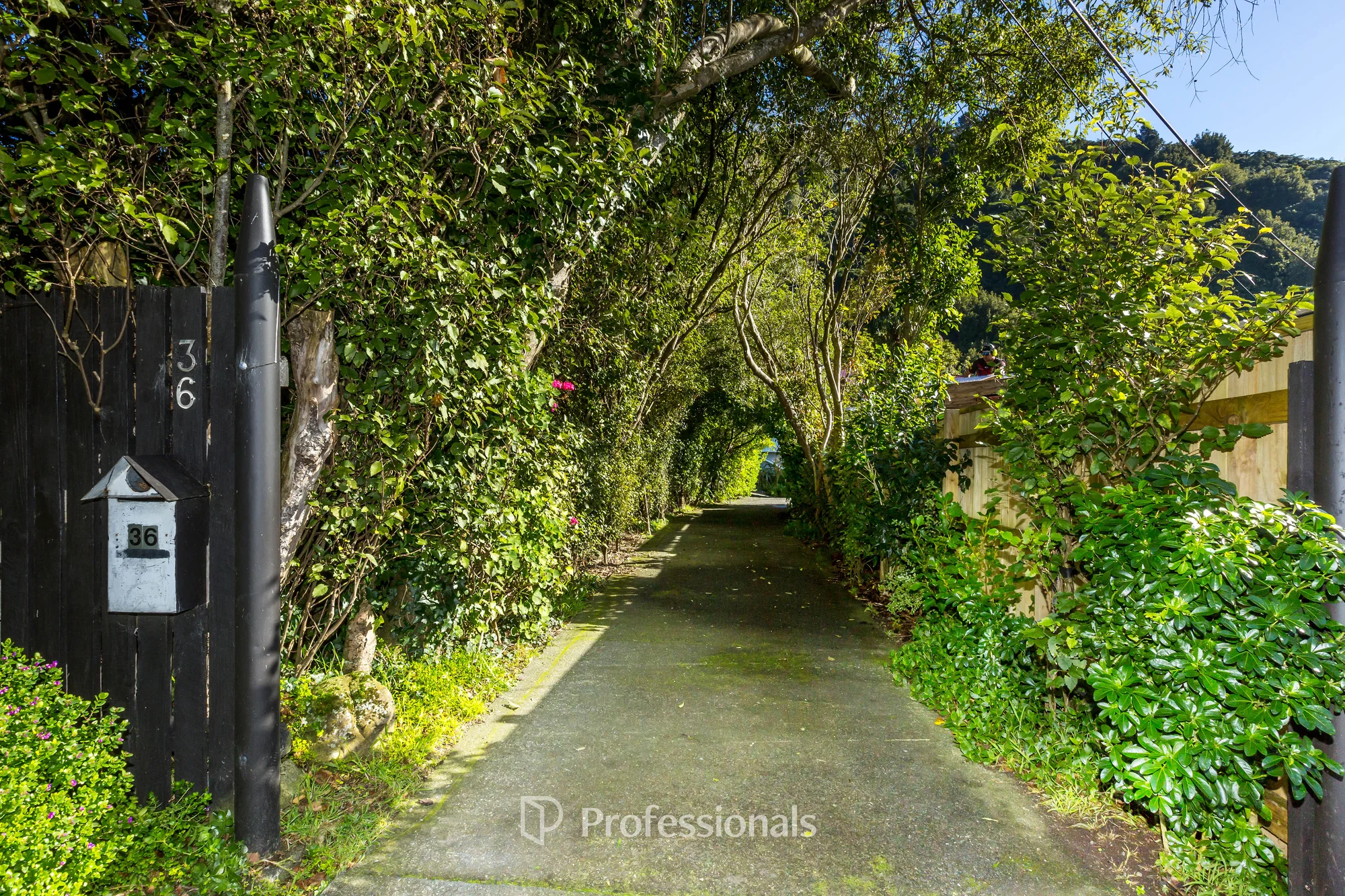 Birchville 3房  BEAUTIFUL INSIDE AND OUT AT BLACK BEECH STREET