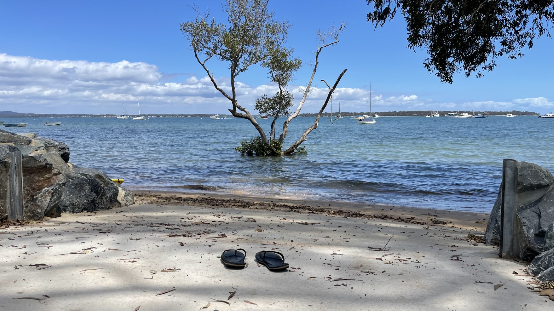 11 COONDOOROOPA DR, MACLEAY ISLAND QLD 4184, 0 rūma, 0 rūma horoi, Section