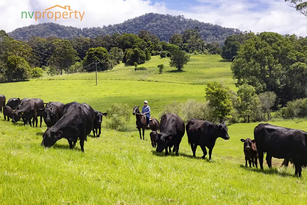 Lot 1, 103 Soldier Settlers Road, Newee Creek, NSW 2447