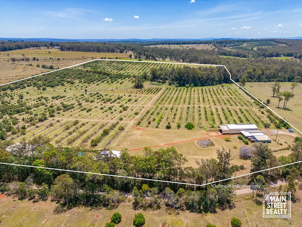 Cherry Creek Discover Your Rural Dream: Thriving Avocado Farm