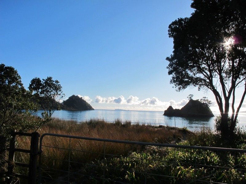 218 Mangakahia Drive, Whangapoua, Coromandel, 5 Bedrooms, 0 Bathrooms