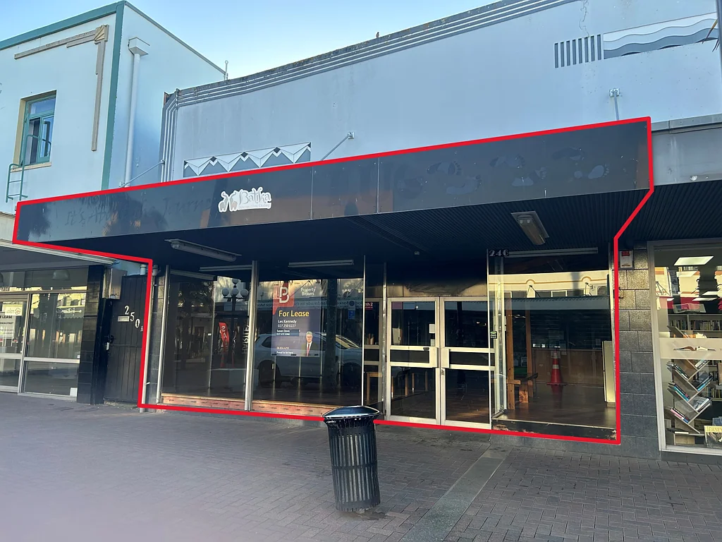 Napier South Prime Napier CBD retail leasing 206.2m2 (approx)
