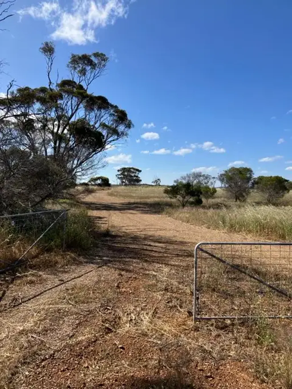 LOT 252 Morgans Street, Ravensthorpe, WA 6346