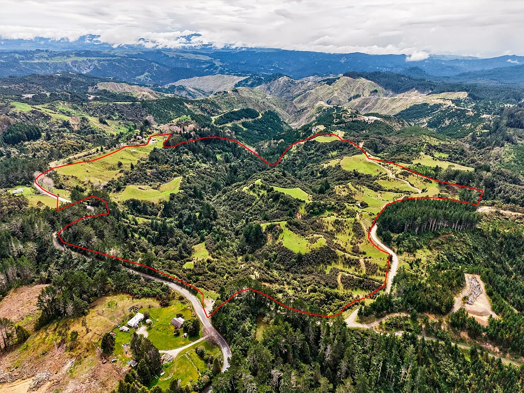 Tolaga Bay  60ha Hunting and lifestyle block