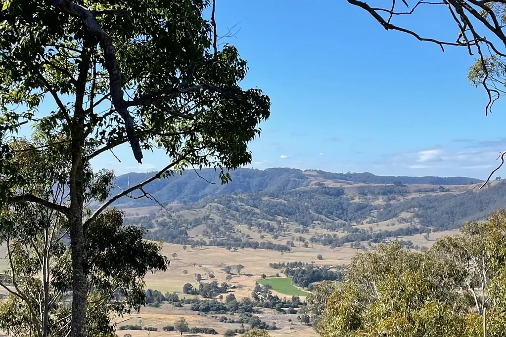 Vacy Mount Breckin – Million Dollar Koala Mountain