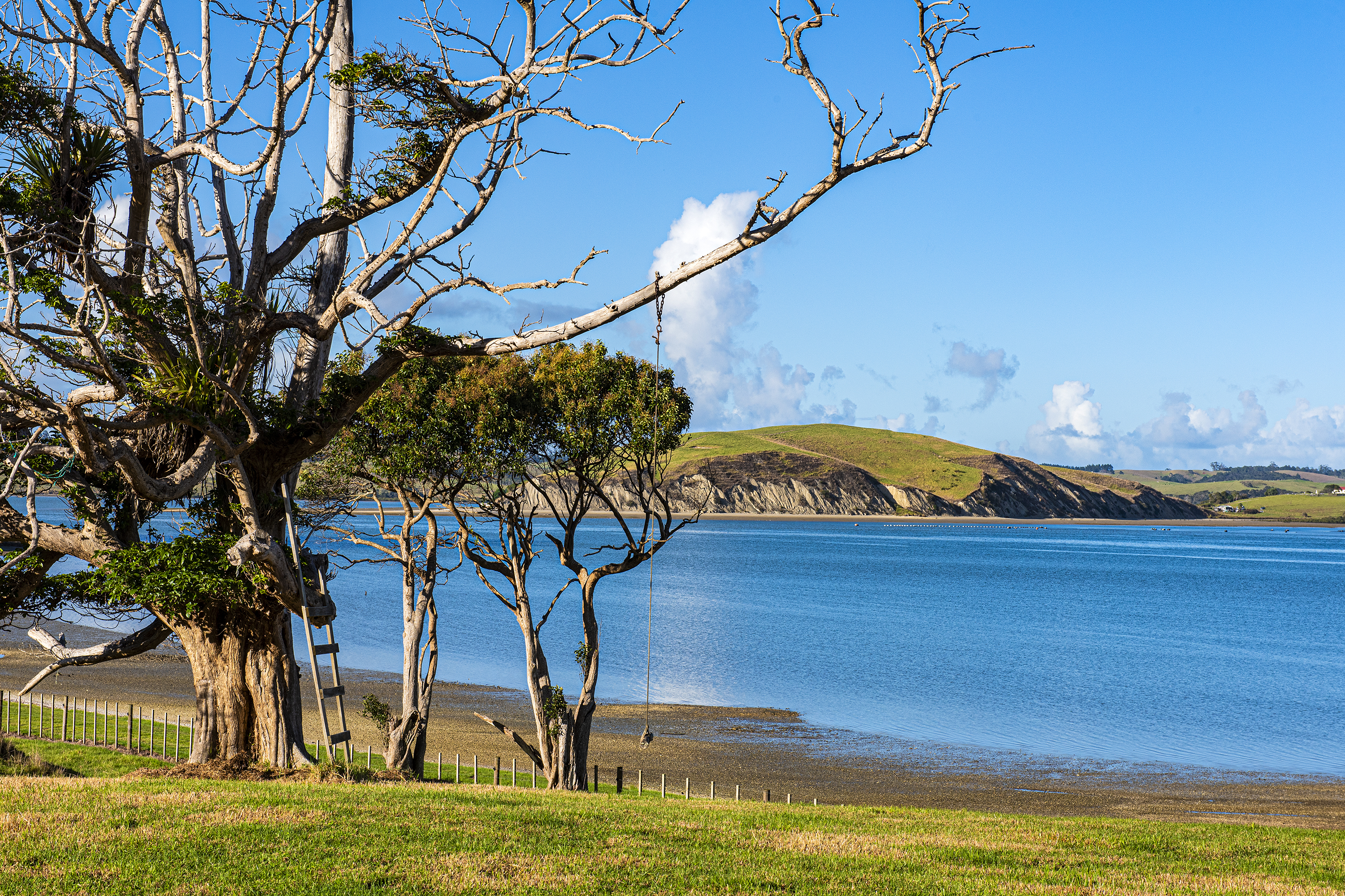 140 Beatson Road, Whakapirau, Kaipara, 0 Schlafzimmer, 1 Badezimmer, Lifestyle Section