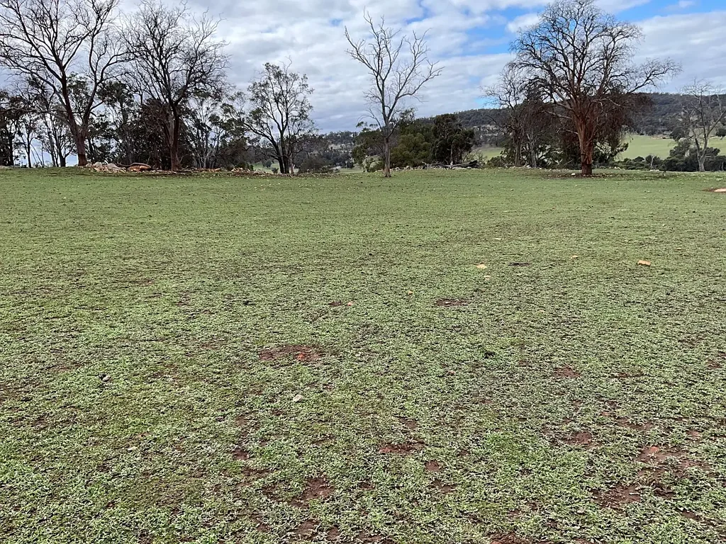 Boddington Your Country Escape    $450,000