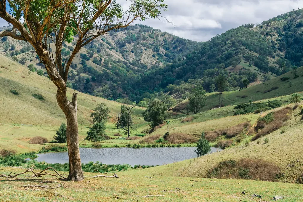 Stewarts Brook  "Argyle" High Grazing Country with Panoramic Views & Permanent Water