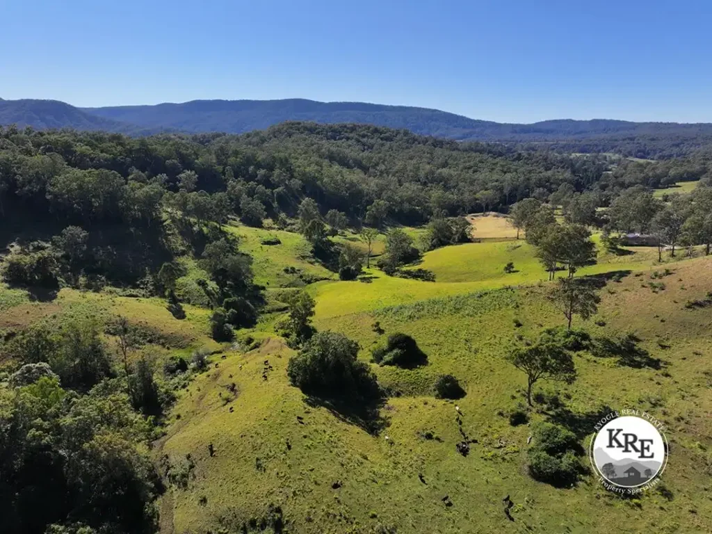 Kyogle "BENTLEY GEM"