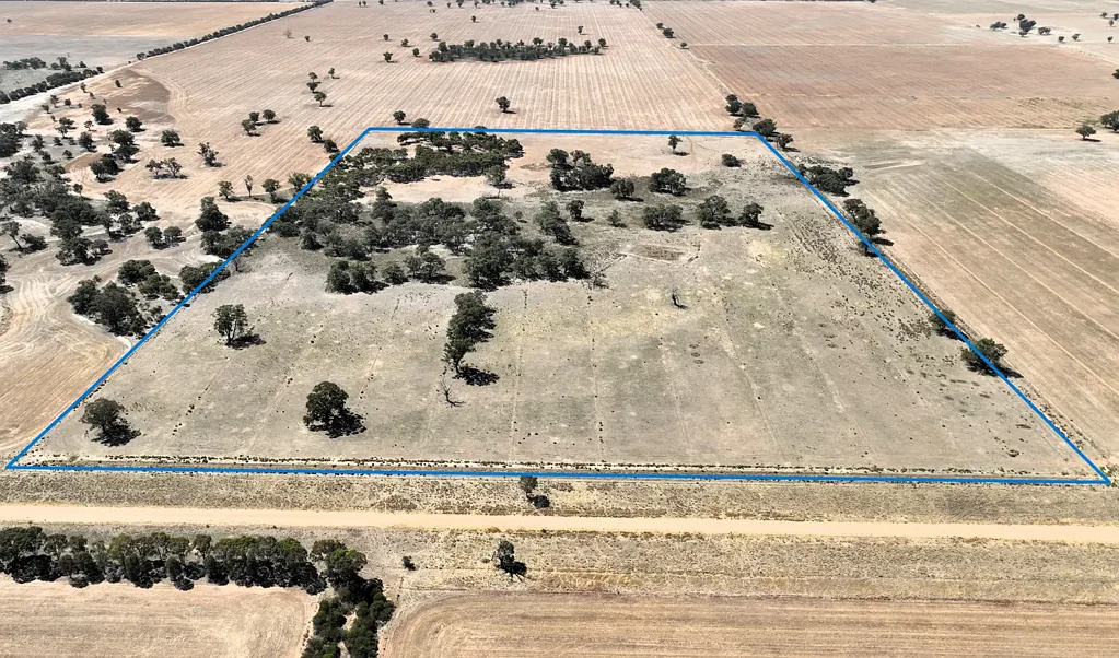 Lot 1, Womboota Rd, Womboota via Moama, NSW 2731, Womboota, NSW 2731