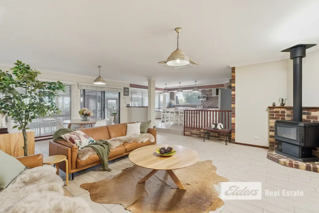 Capel Luciani Stables - High-Performance Thoroughbred Training Facility with Exceptional Pedigree