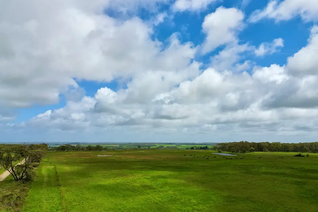Port Campbell Dairy Run-Off / Beef Outpaddock / Lifestyle Opportunity