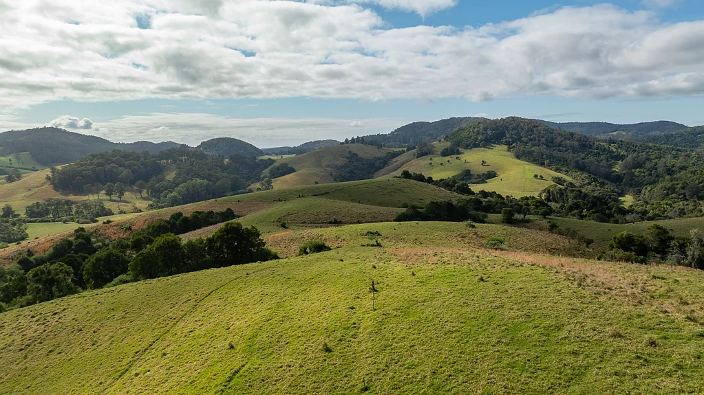 984 & 1100 Coramba Road, Megan, NSW 2453