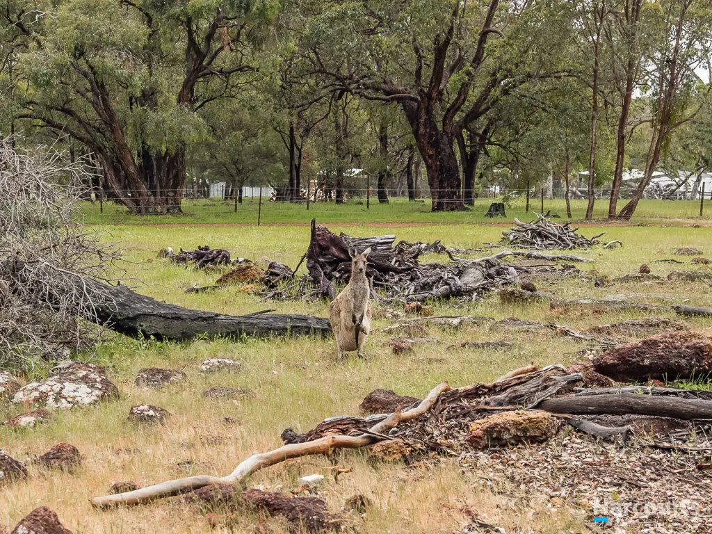 15 Studmaster View, Bullsbrook, WA 6084