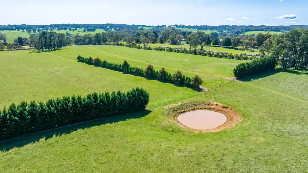 1729 Tumbarumba Road, Rosewood, NSW 2652