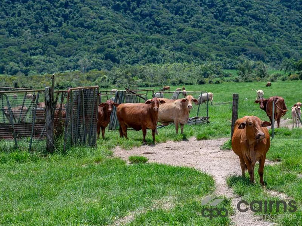 Mourilyan Harbour  Approx 159.7 Acres, Multiple Uses, Picturesque Country, in FNQ