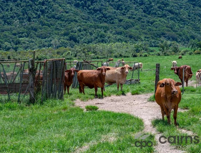 Lot 3/505 Mourilyan Harbour Road, Mourilyan Harbour, Cairns, 0 Schlafzimmer, 0 Badezimmer, Lifestyle Property